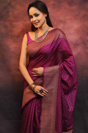WOMEN CHIC AND COMFORTABLE LINED SAREE FOR