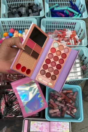 Any Lady All In One Makeup Kit